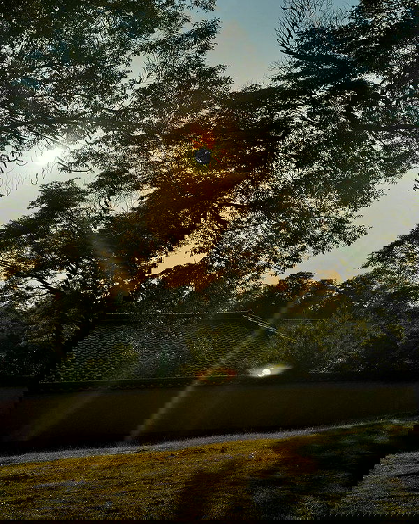 jasminxie2 image ~ Altpins