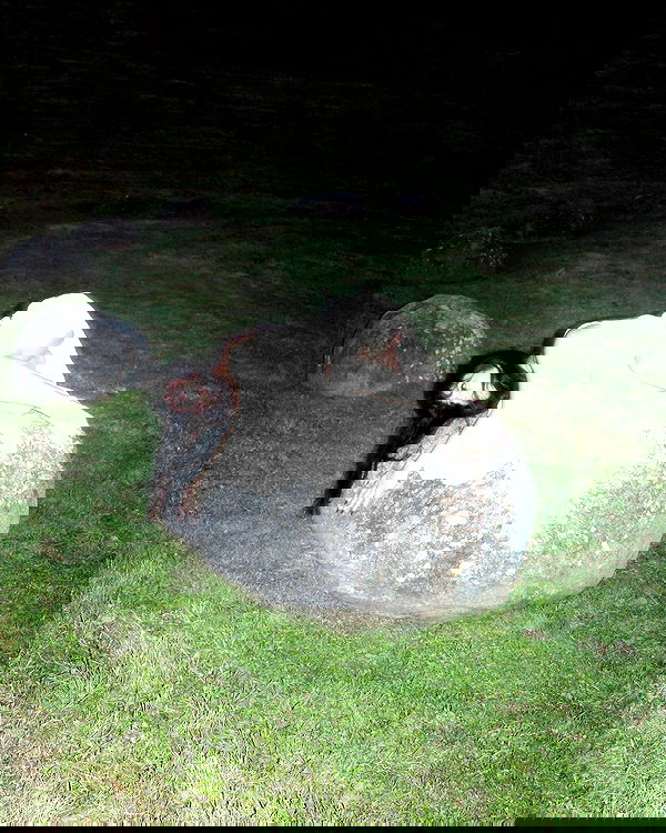 jasminxie2 image ~ Altpins