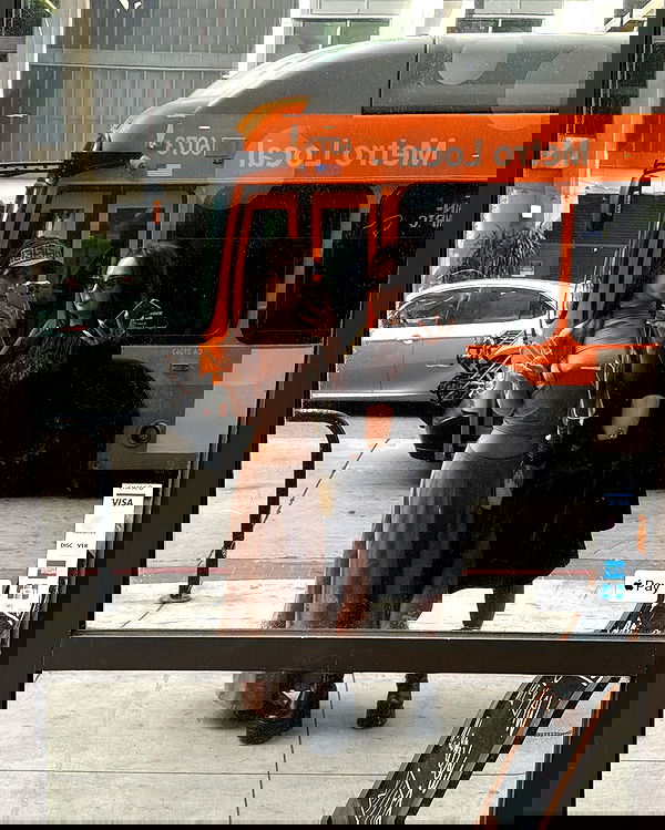 jasminxie2 image ~ Altpins