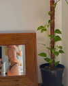 jess.burtonnn Altpins Profile Picture