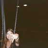 jess.burtonnn Altpins Profile Picture