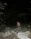 jessysiner Altpins Profile Picture