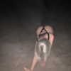 jessysiner Altpins Profile Picture