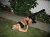 jessysiner Altpins Profile Picture