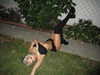 jessysiner Altpins Profile Picture