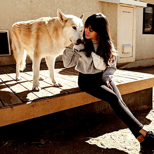 juditmoreno22 instagram image archive image