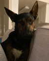 juditmoreno22 Altpins Profile Picture