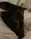 juditmoreno22 Altpins Profile Picture