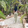 juditmoreno22 Altpins Profile Picture