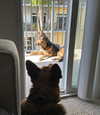 juditmoreno22 Altpins Profile Picture