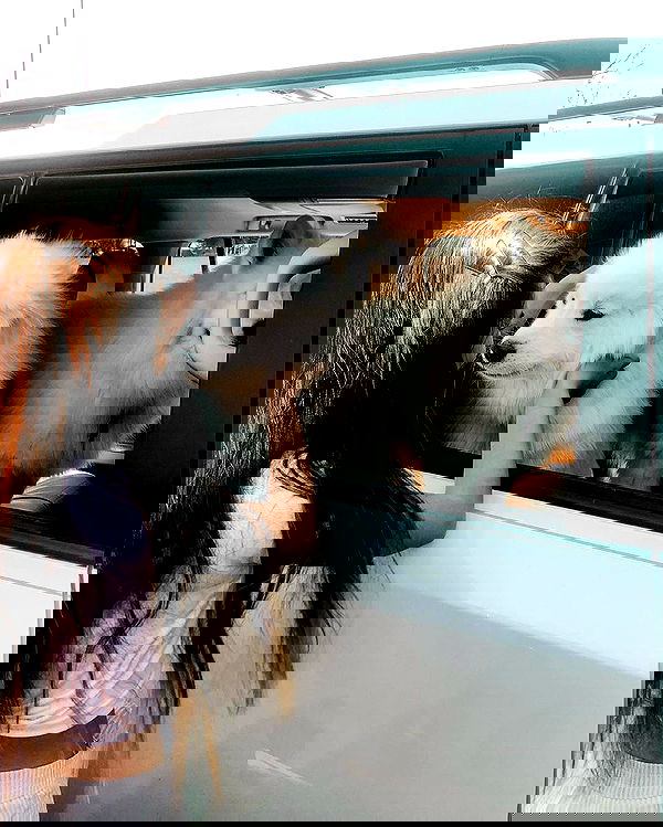 juliaernst juliaernst archive image