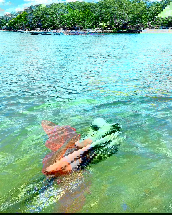 juliaernst juliaernst archive image