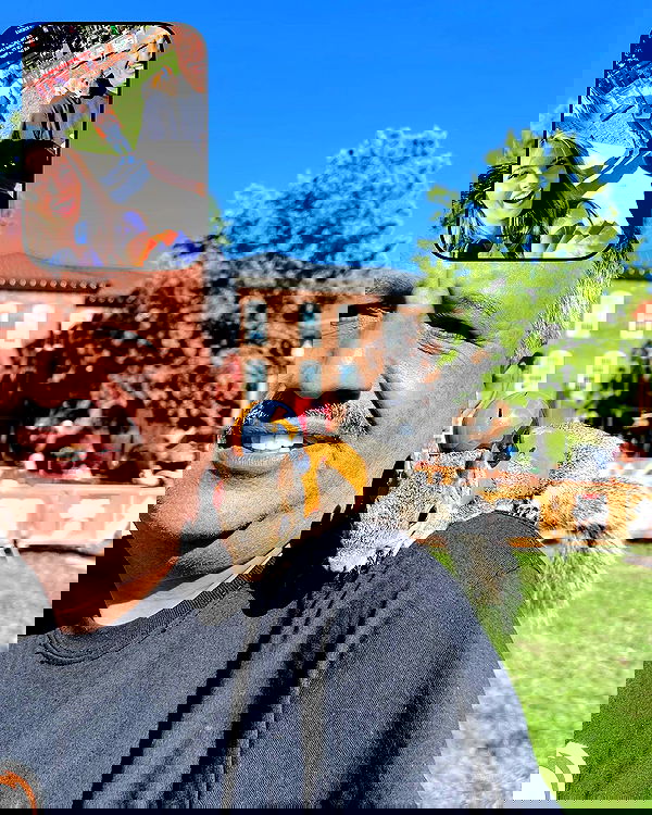 juliaernst juliaernst archive image