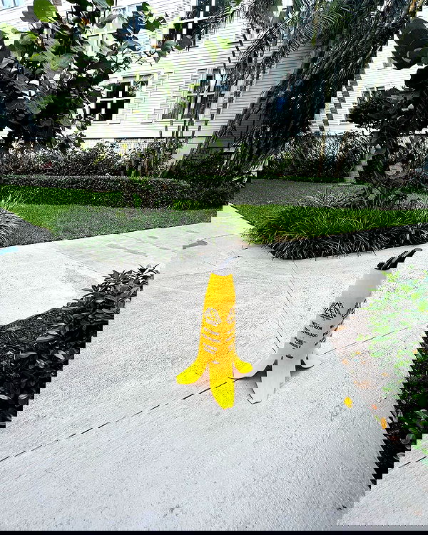 juliaernst juliaernst archive image