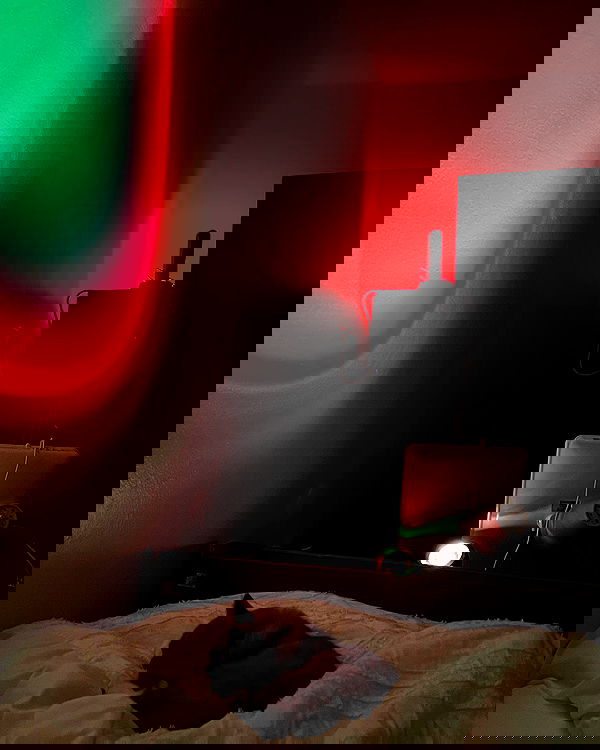 juliaernst juliaernst archive image