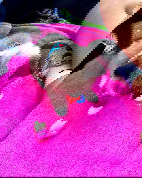 juliaernst juliaernst archive image