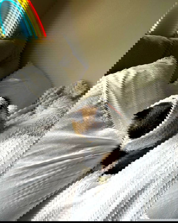 juliaernst juliaernst archive image