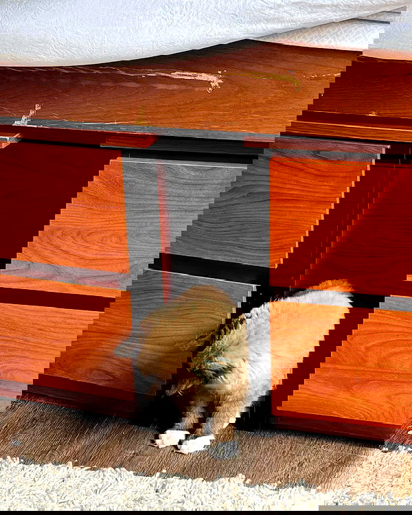 juliaernst juliaernst archive image