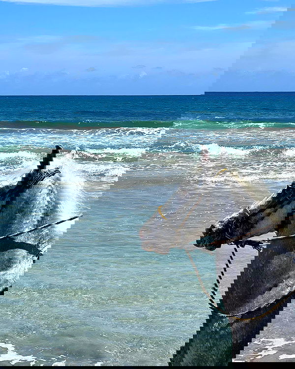 juliaernst juliaernst archive image