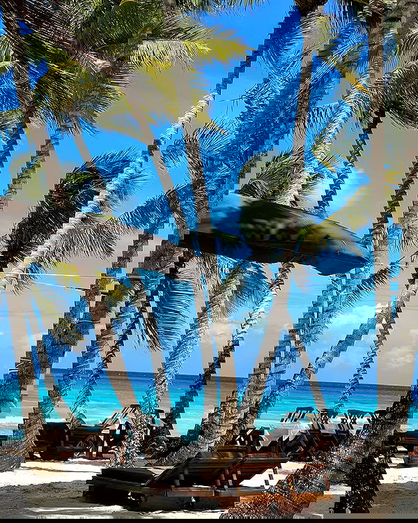 juliaernst juliaernst archive image