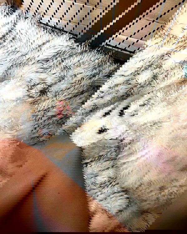 juliaernst juliaernst archive image