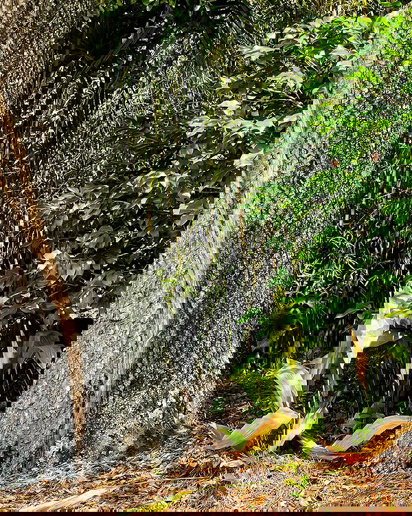 juliaernst juliaernst archive image