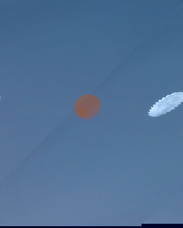 juliaernst juliaernst archive image