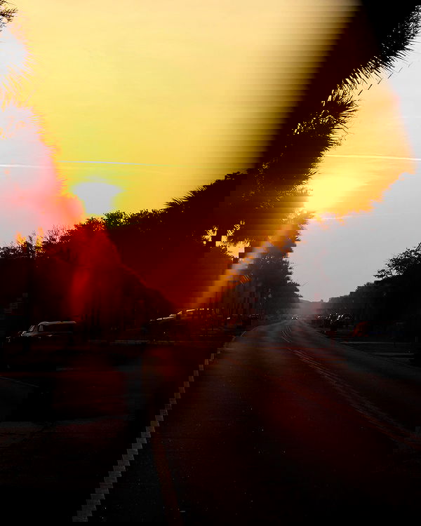 juliaernst juliaernst archive image