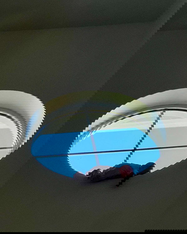 juliaernst juliaernst archive image