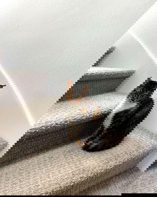 juliaernst juliaernst archive image