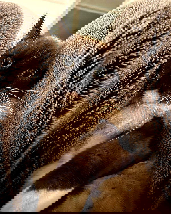 juliaernst juliaernst archive image