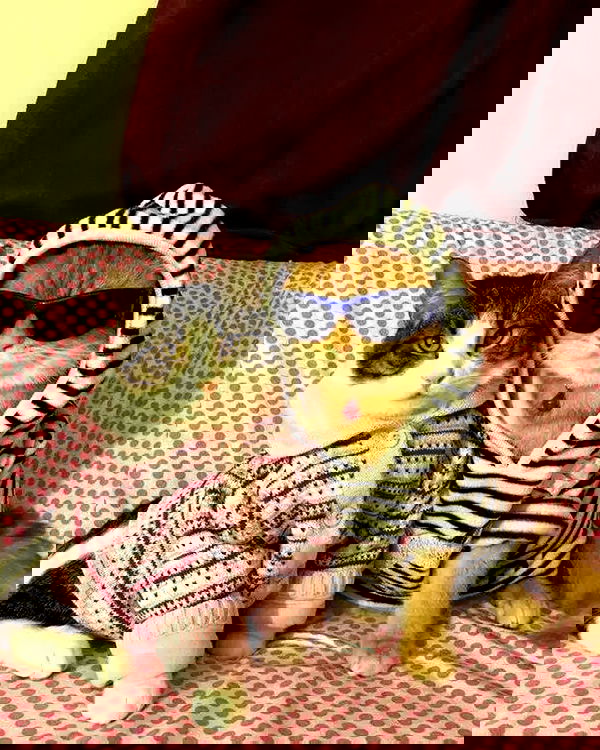 juliaernst juliaernst archive image