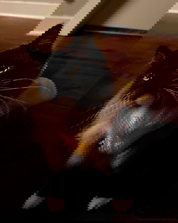 juliaernst juliaernst archive image