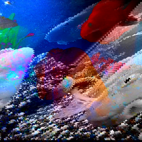 juliaernst juliaernst archive image