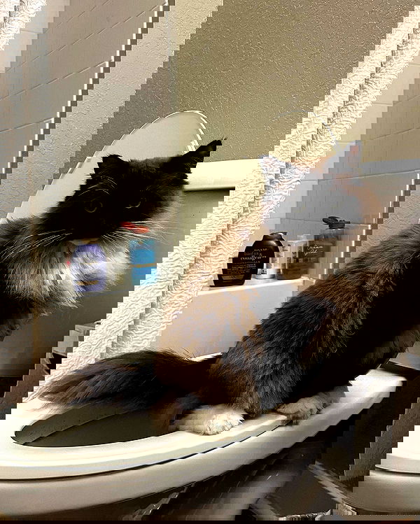 juliaernst juliaernst archive image