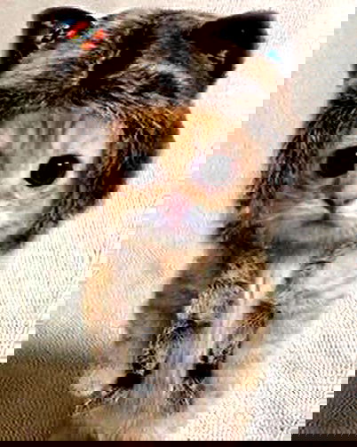 juliaernst juliaernst archive image