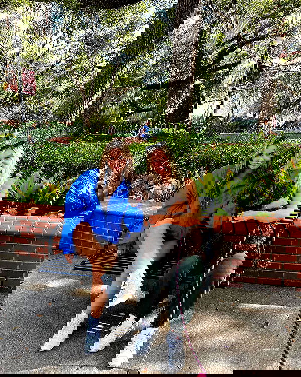 juliaernst juliaernst archive image