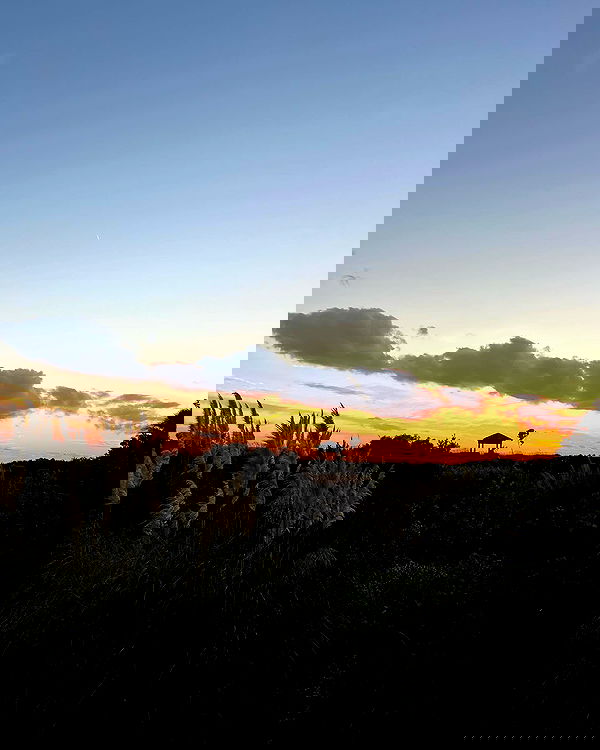 juliaernst juliaernst archive image