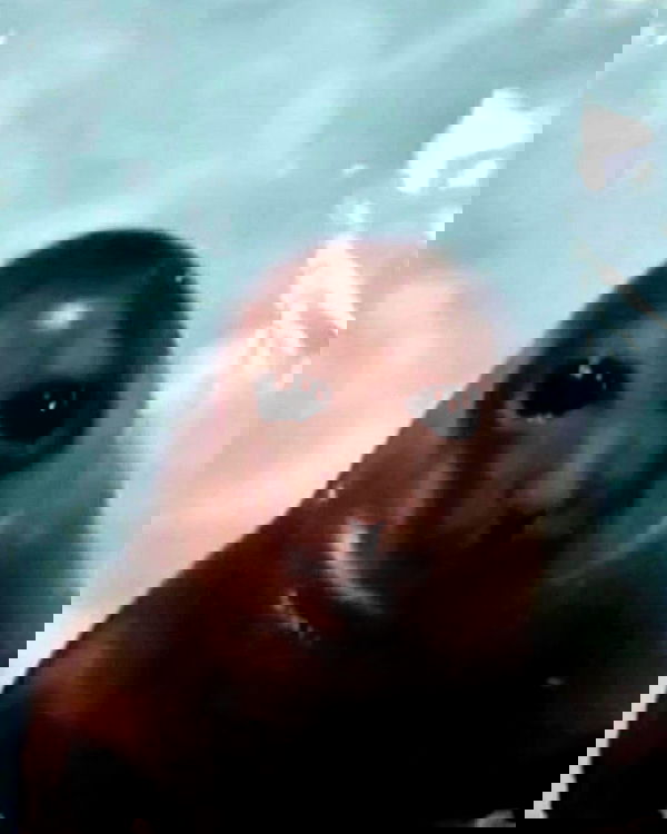 juliaernst juliaernst archive image