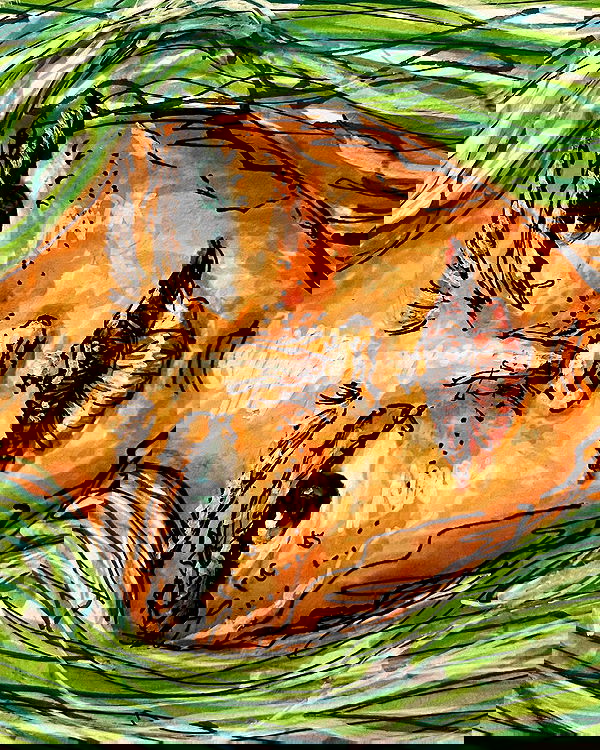 juliaernst juliaernst archive image