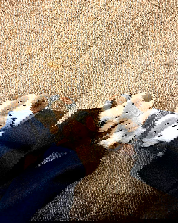 juliaernst juliaernst archive image