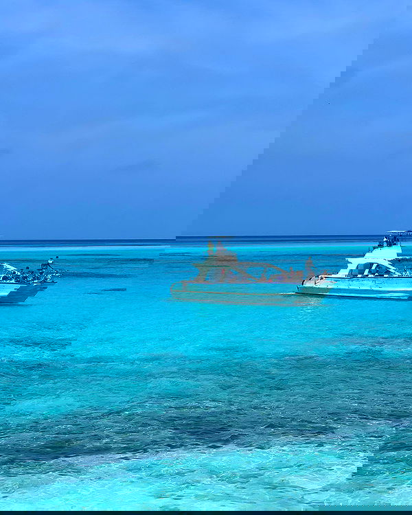 juliaernst juliaernst archive image