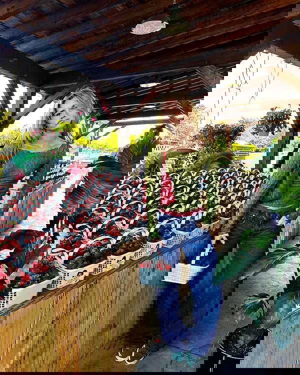 juliaernst juliaernst archive image