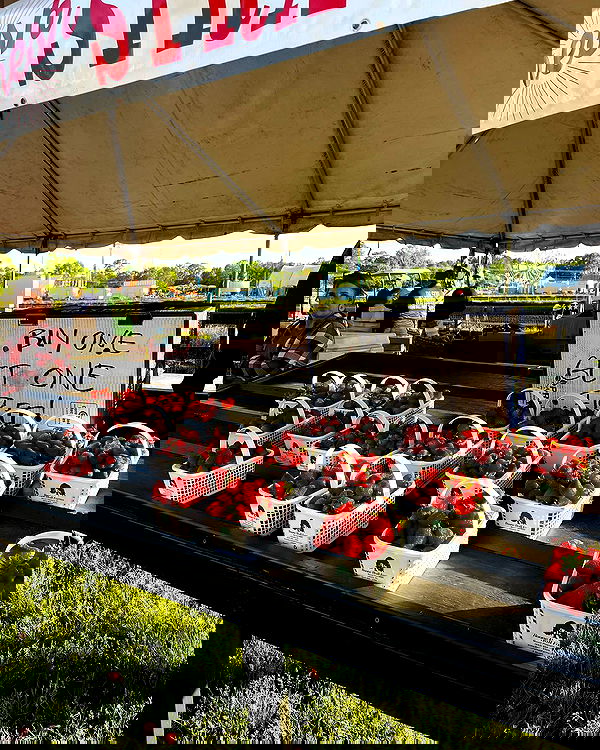 juliaernst juliaernst archive image