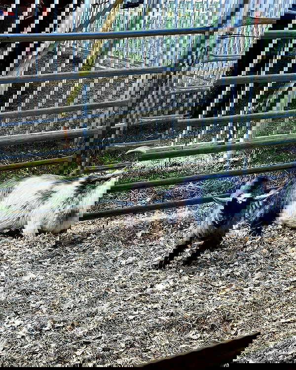 juliaernst juliaernst archive image