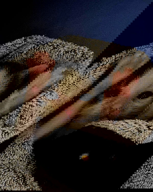 juliaernst juliaernst archive image