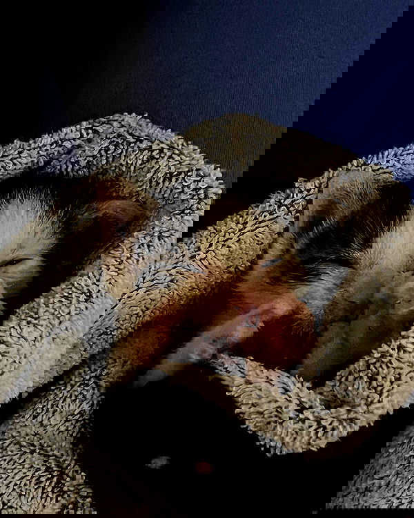 juliaernst juliaernst archive image