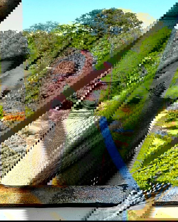 juliaernst juliaernst archive image