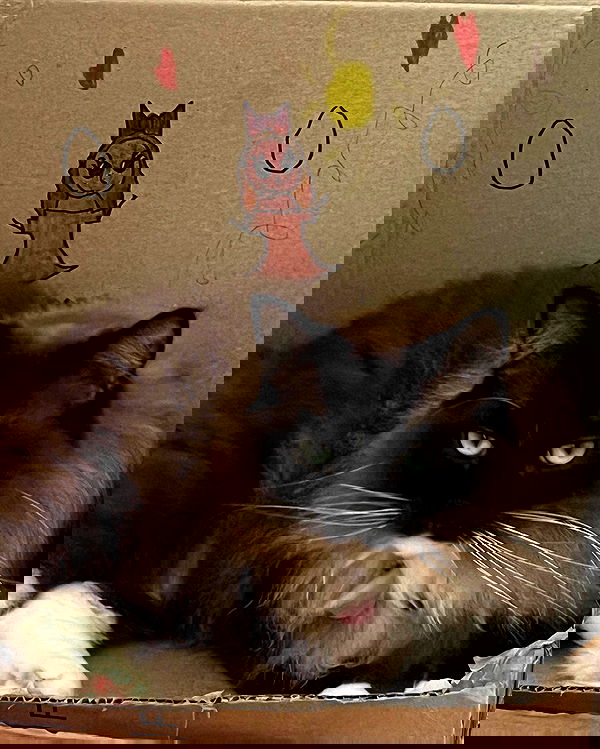 juliaernst juliaernst archive image