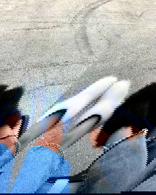 juliaernst juliaernst archive image